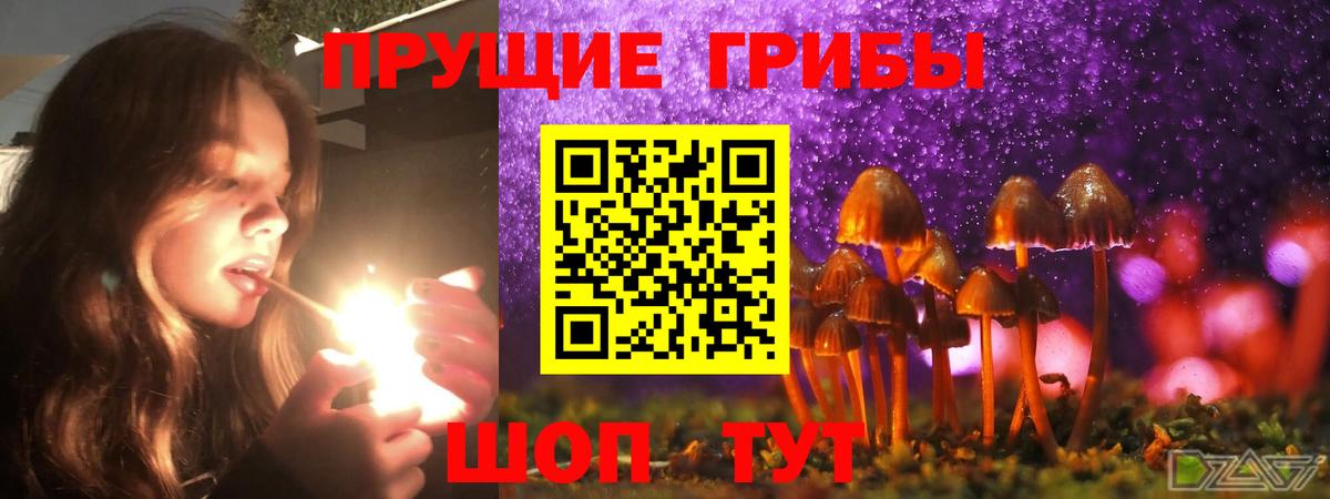 Галлюциногенные грибы Psilocybine cubensis Соль-Илецк